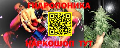 МДПВ Будённовск