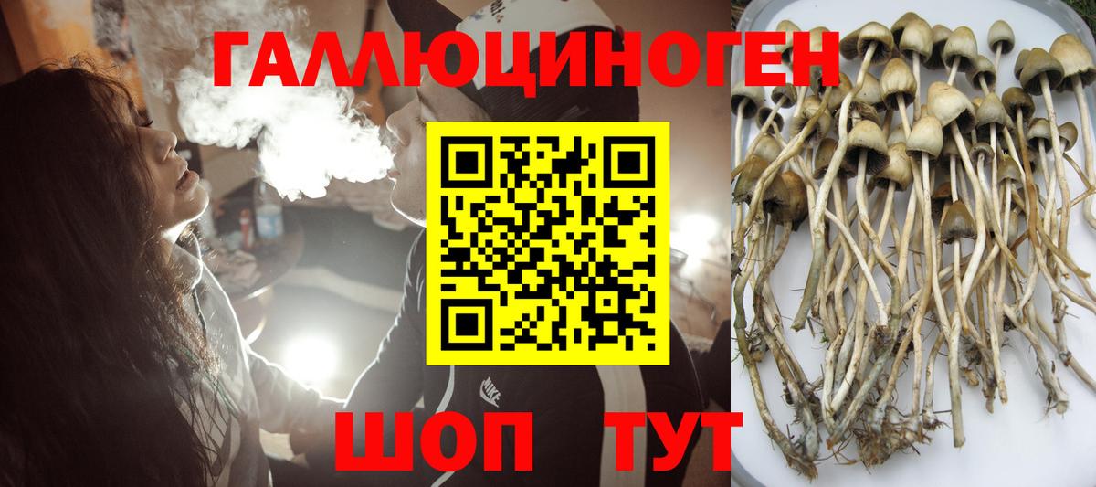 Галлюциногенные грибы прущие грибы  Галлюциногенные грибы Cubensis  Вход с VPN  Архангельск 