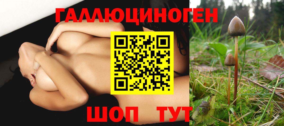 Псилоцибиновые грибы GOLDEN TEACHER Архангельск